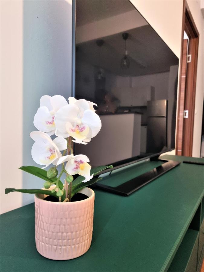 Năvodari Summer Onix Mamaia Nord Apartament מראה חיצוני תמונה